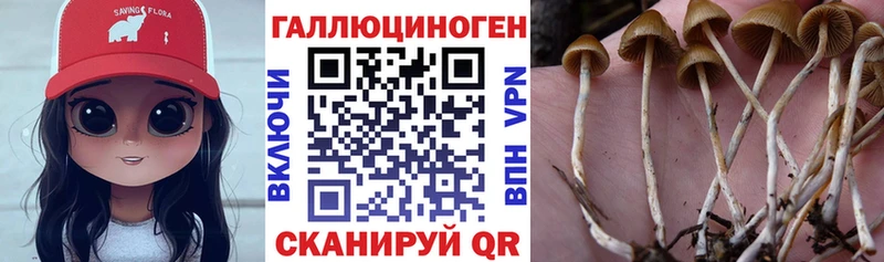 Галлюциногенные грибы Psilocybine cubensis  OMG рабочий сайт  Ковылкино  что такое  
